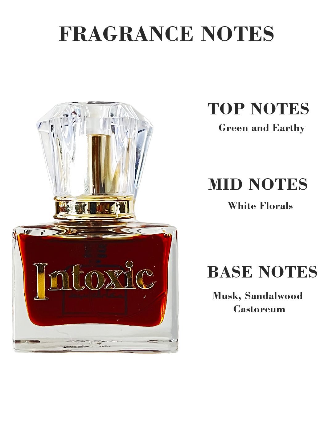 INTOXIC - manly perfume