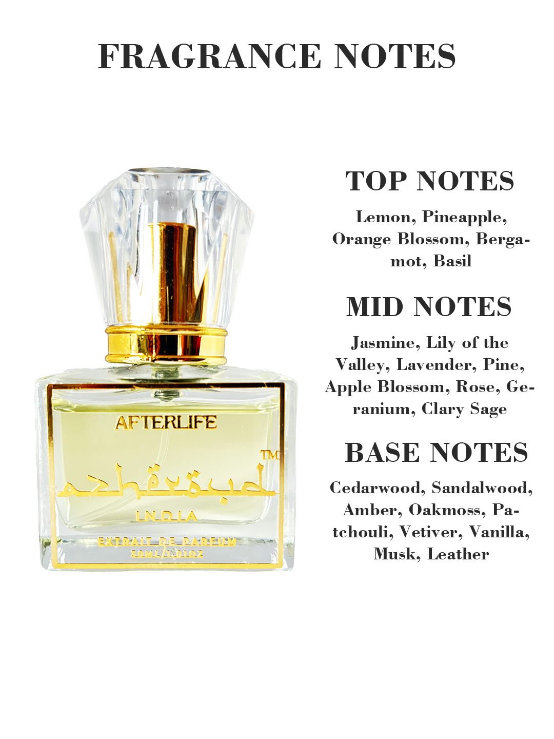 Afterlife – A Sophisticated Unisex Perfume of Citrus, Florals & Warm Woods
